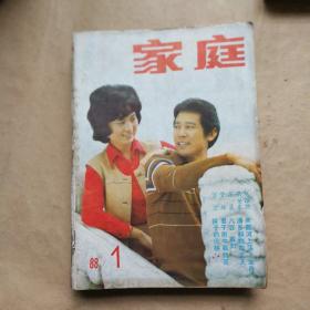 家庭1987年第1-12期（自订一册）