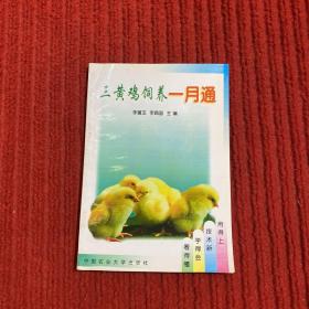三黃雞飼養(yǎng)一月通