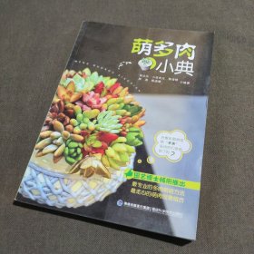 萌多肉小典