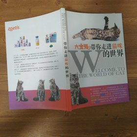 大宠爱带你走进猫咪的世界