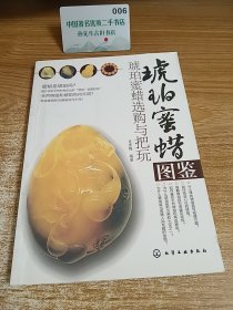 琥珀蜜蜡图鉴：琥珀蜜蜡选购与把玩