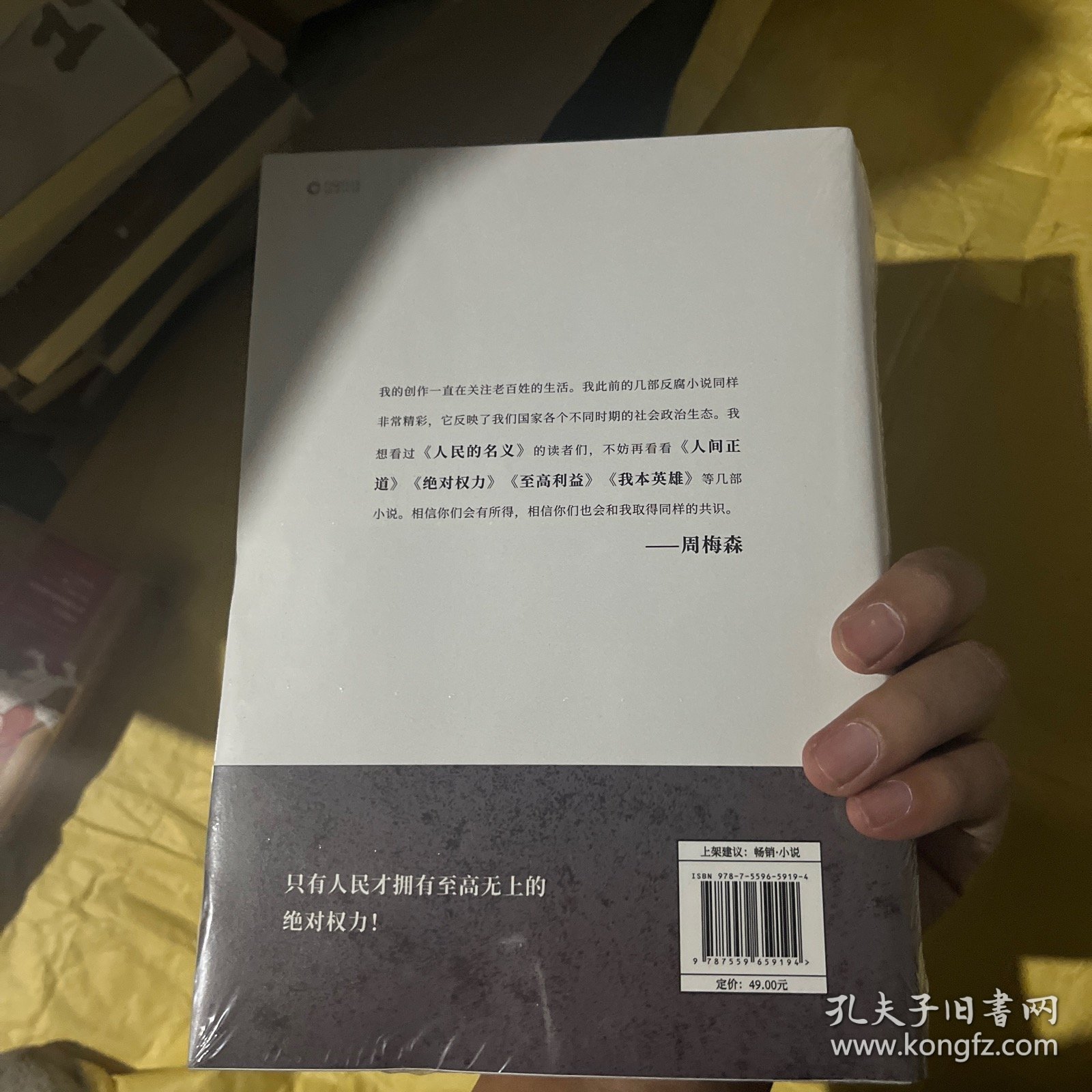 绝对权力（《人民的名义》编剧、原著作者周梅森倾力打造，教科书级反腐小说，以一场惊天腐败案洞察人心与人性）