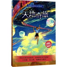 天地奇旅 儿童文学 王国刚  新华正版