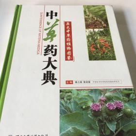 中草药大典-原色中草药植物图鉴(上下册)