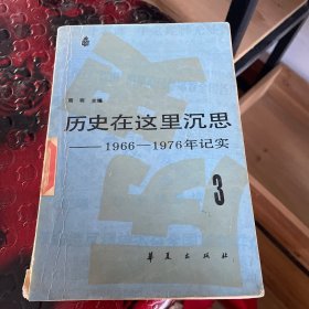 历史在这里沉思:1966～1976年纪实.第三卷