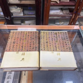 中国书法大辞典 16开精装 上下两册全 合售