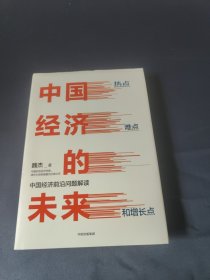 中国经济的未来：热点、难点和增长点