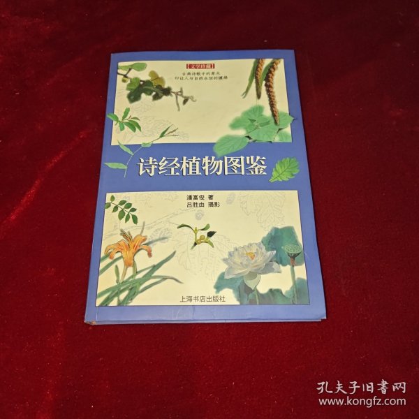 诗经植物图鉴