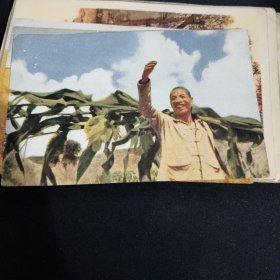 50年代绘画小画片：农业劳动模范李顺达