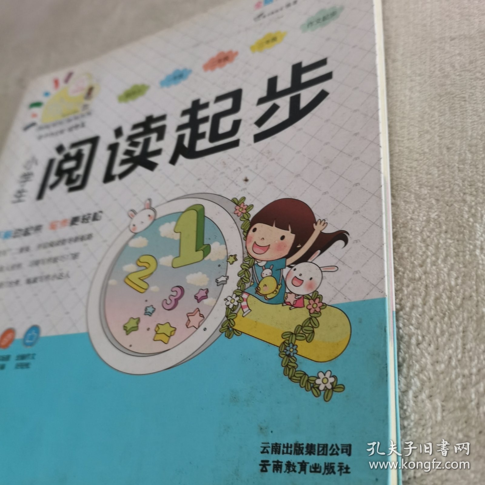 小学生阅读起步/特级教师全程点拨