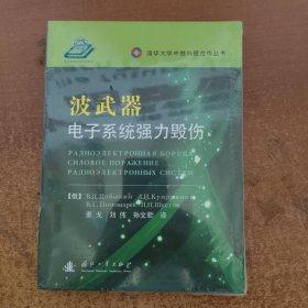 清华大学中俄科技合作丛书：波武器（电子系统强力毁伤）