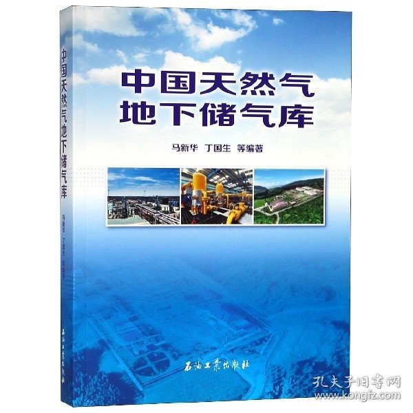 中国天然气地下储气库马新华，丁国生等编著9787518326006石油工业出版社