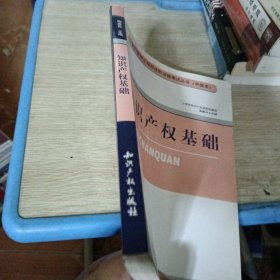 专利管理工程师任职资格考试丛书（中级本）：知识产权基础