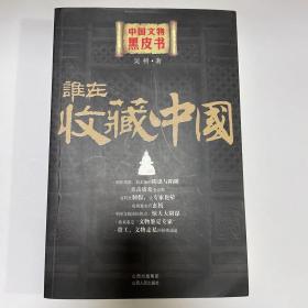 谁在收藏中国：中国文物黑皮书