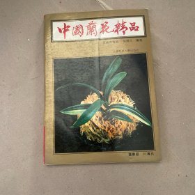 中国兰花精品