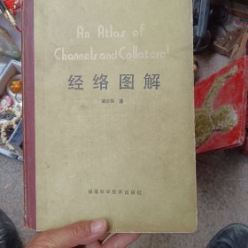 经络图解