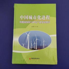 中国城市化进程的能源保障与风电产业发展格局【硬精装16开全新未拆封】