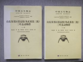 中国古生物志 新乙种第35号 （上下）