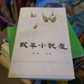 改革小说选