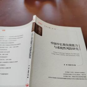 国务院发展研究中心研究丛书：中国中长期负债能力与系统性风险研究