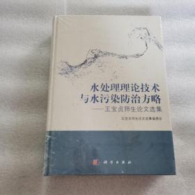 水處理理論技術(shù)與水污染防治方略：王寶貞師生論文選集