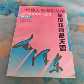 梅花欢喜漫天雪