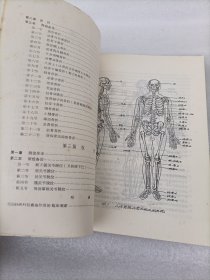 新医正骨讲义 修改稿