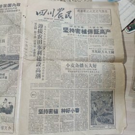 1959年四川农民老报纸