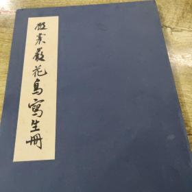 顾震岩花鸟写生册