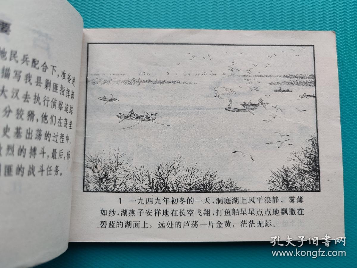 芦荡尖兵