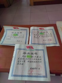 同一人3张毕业证书：1974年小学、1976年初中、1978年高中