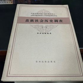 苗族社会历史调查2