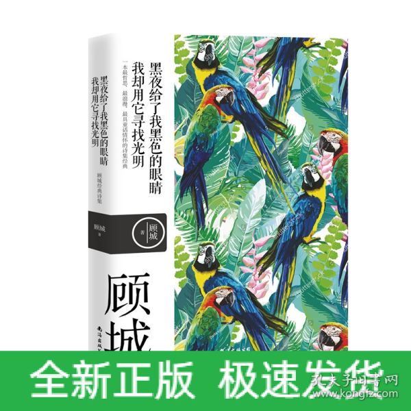 名诗名画系列《黑夜给了我黑色的眼睛，我却用它寻找光明》 ——顾城经典诗集