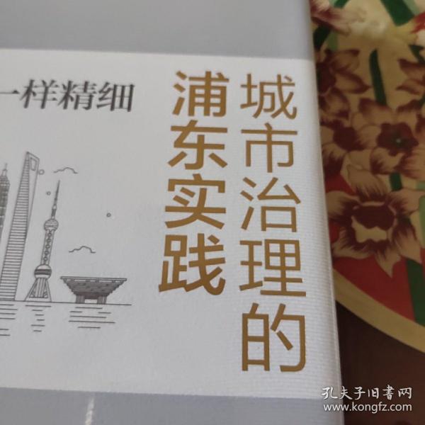 像绣花一样精细：城市治理的浦东实践