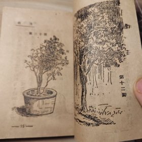 中国民国抗战期间中国童子军中级课程目录，民国23年出版，厚厚一册全，无前面封皮，里面有大量的图和实用内容