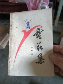 电花集–诗歌选