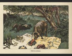 1886年德国木刻套色石印版画被袭扰的野餐