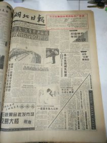 湖北日报1994年12月26日