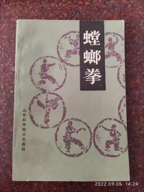 螳螂拳 王洪发 87年 85品 武术书籍 武功类书籍1-1