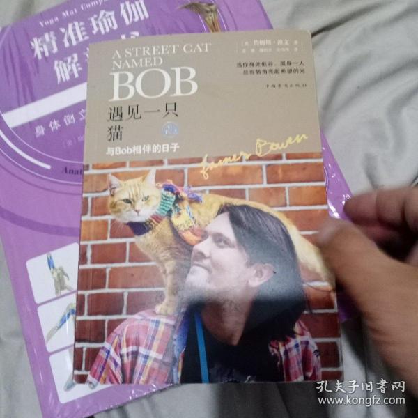 遇见一只猫:与Bob相伴的日子