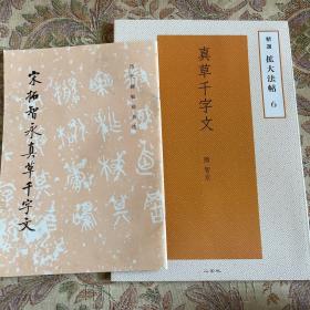 宋拓智永真草千字文+隋智永真草千字文（精选扩大法帖）二玄社 二册