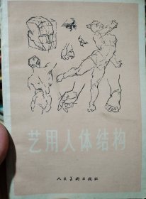 艺用人体结构