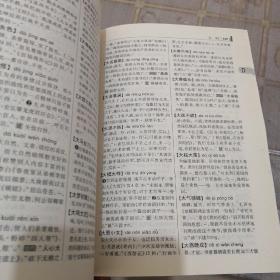 新世纪汉语成语词典