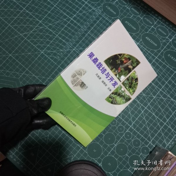 果桑栽培与开发