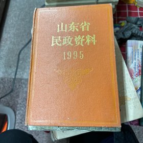 山东省民政资料
1995