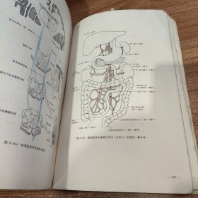 人体解剖学 下册 16开厚本