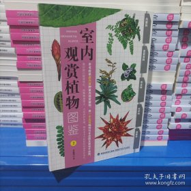 室内观赏植物图鉴2