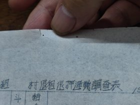 1951年开平县土改第*区队第*组*村退租退押运动调查表（未填写）