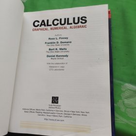 CALCULUS GRAPHICAL NUMERICAL ALGEBRAIC