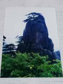 黄山奇峰摄影作品原稿